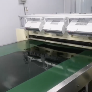 polarzier cutting machine